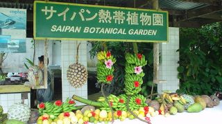 一度ぐらいは是非