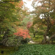 紅葉のピークには少し早かった