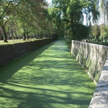 お城入り口そばの用水路