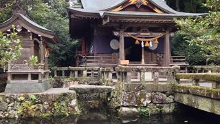 池の中にある神社です