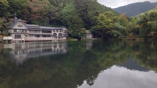 いろいろなお魚が住み着いているようです