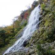 兵庫県 一番の滝