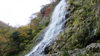 兵庫県 一番の滝