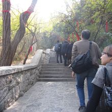 このような石段が続き、結構きつい登りです