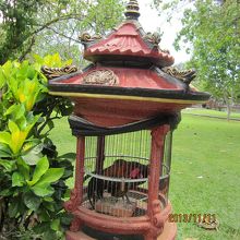 闘鶏用の鶏でしょうか？