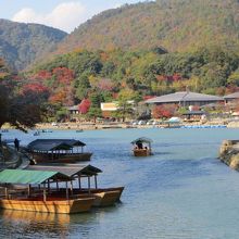 青い水が気持ちよさそう。