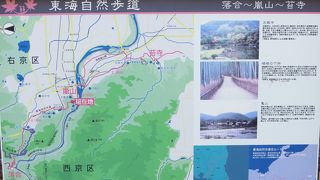 亀山公園をつらぬく東海自然道。