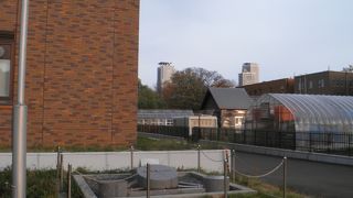 真っ直ぐな歩道のわきにある