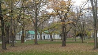 林の中にたたずむ緑色の屋根の建物