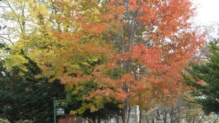 北海道大学にあるクラーク博士胸像
