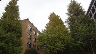 観光的な見どころも多いです