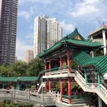 すぐそこにビルが見えるのが香港らしいですね