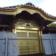 金色が輝いています