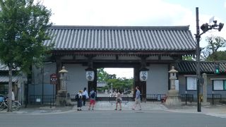 遠くからも見えます