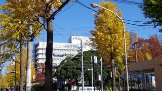 藤が丘駅（神奈川県）