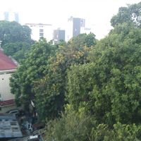 窓からの風景　まあ、なんとなく。