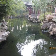 回遊式庭園で、あちらこちらで泉が湧いています