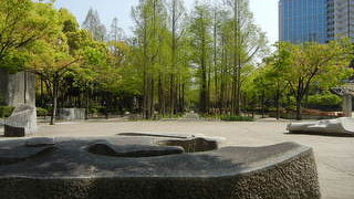 新緑が綺麗でした