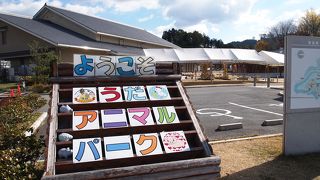 動物とふれあい