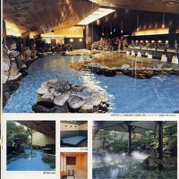 これもパンフレットの写真。ここは朝さーと入った。