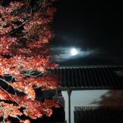 永源寺のライトアップ