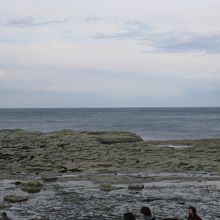千畳敷海岸。観光のため停車時間が長い