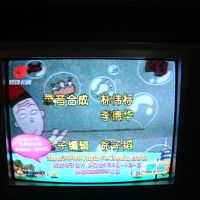 客室のテレビでは、ちょうど日本の人気アニメを放送していた。