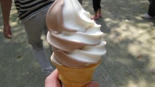 牧場のソフトクリーム