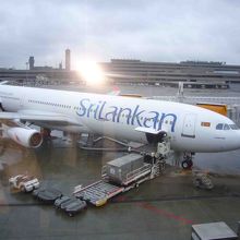 可もなく不可もなく、値段相応でした