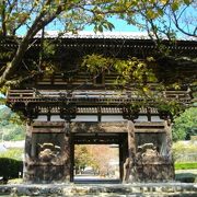 紀州徳川家ゆかりの寺