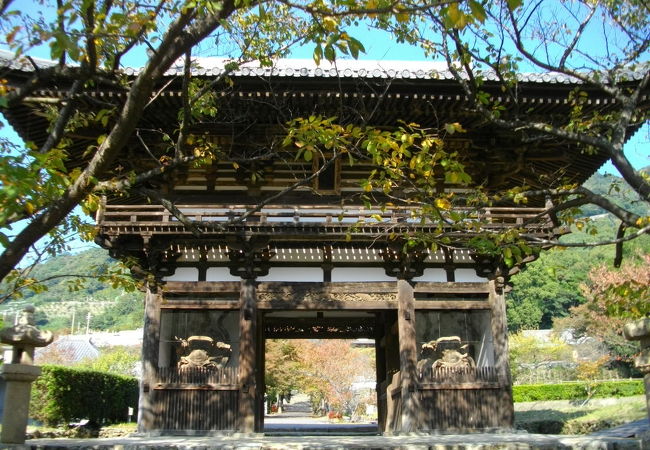 紀州徳川家ゆかりの寺