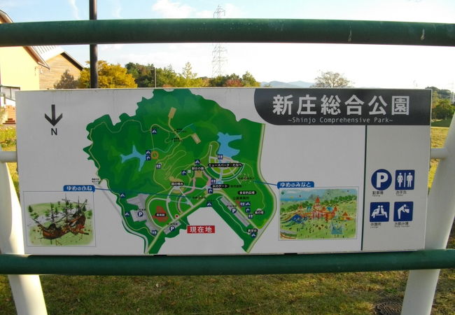 散歩していて楽しい