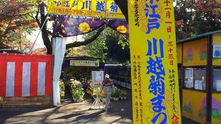 喜多院の風物詩。