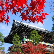「八重の桜」に登場するお寺