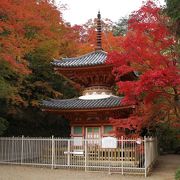 泉州地域では有名な紅葉スポット