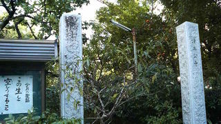 浜町公園にある加藤清正公を祀った小さなお寺
