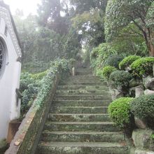 入口正面の苔生した階段、良い雰囲気です