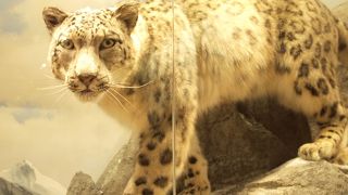 剥製に囲まれて。