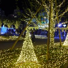 公園内には至る個所でイルミネーションで演出されている