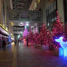 博多大丸　エルガーラ広場のクリスマスイルミネーション