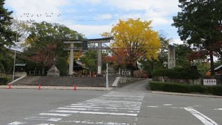 しっとりとして落ち着ける神社。隠れ観光スポット。