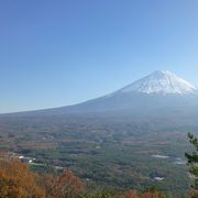 すごい。富士山と山麓樹林が一望