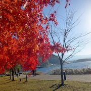 美術館の裏の公園が素晴らしい