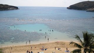 初めてのシュノーケリングに最適です