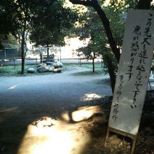 入り口に「犬を連れ込むな」という看板があります。