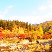 香嵐渓の紅葉