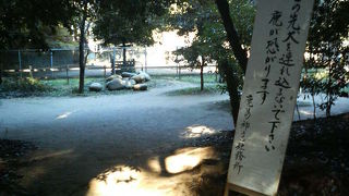 参拝ついでに神の使いを見て癒される場所