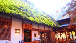 テラス席があり、ゆったりとくつろげる。