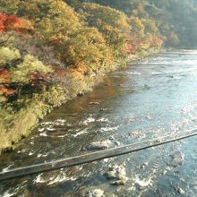 上流の方では川岸の紅葉がなかなかきれいでした。