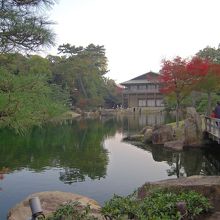 庭園の紅葉